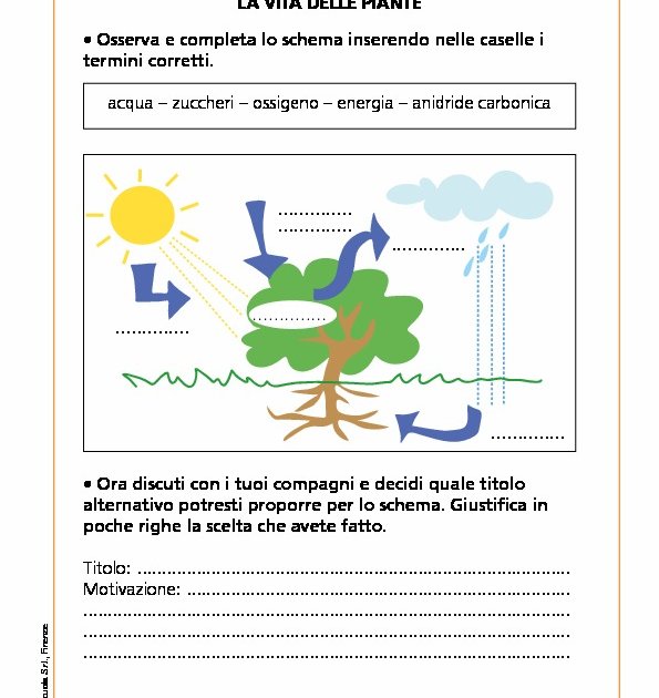 D Sci Mp Schede Pdf Giunti Scuola